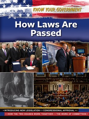 cover image of How Laws Are Passed